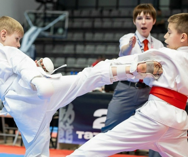 14-15 февраля наши воспитанники успешно выступили на Межрегиональном турнире по всестилевому каратэ!